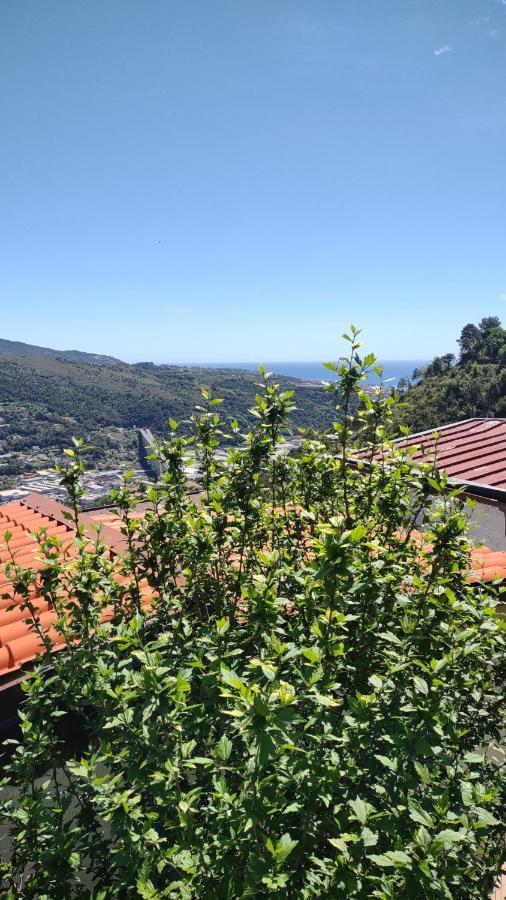 Bungalow Sixdays 3 Camporosso  Εξωτερικό φωτογραφία