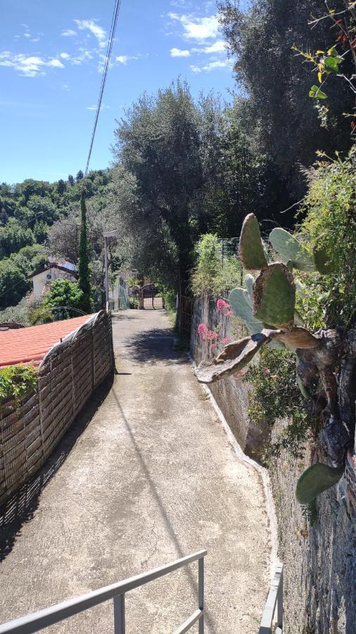 Bungalow Sixdays 3 Camporosso  Εξωτερικό φωτογραφία