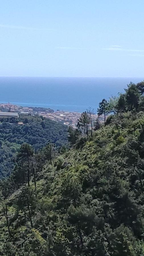 Bungalow Sixdays 3 Camporosso  Εξωτερικό φωτογραφία