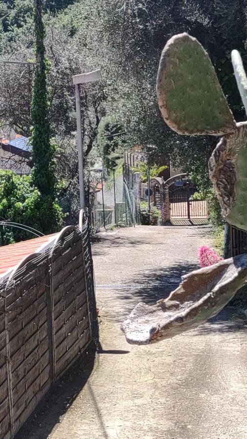 Bungalow Sixdays 3 Camporosso  Εξωτερικό φωτογραφία