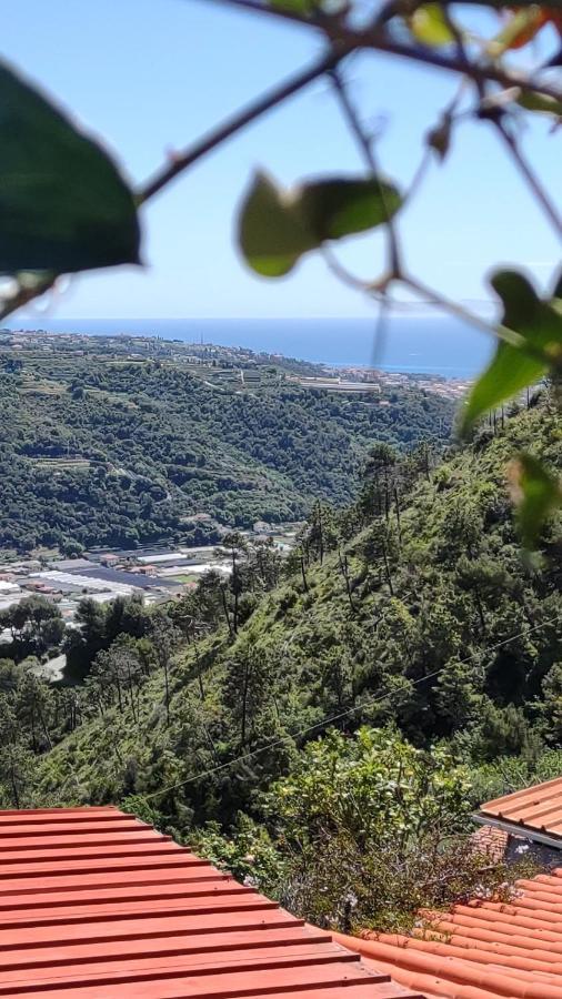 Bungalow Sixdays 3 Camporosso  Εξωτερικό φωτογραφία