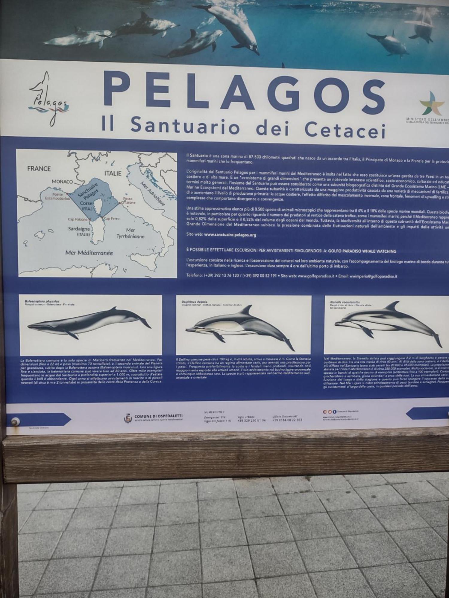 Bungalow Sixdays 3 Camporosso  Εξωτερικό φωτογραφία